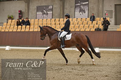 Blue Hors
5års dressur kvl
Nøgleord: betina jæger jensen;hussmanns top gun