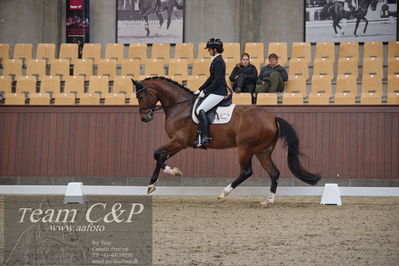 Blue Hors
5års dressur kvl
Nøgleord: betina jæger jensen;hussmanns top gun