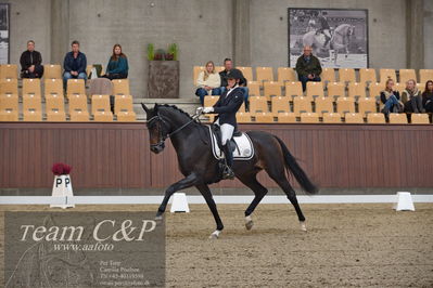 Blue Hors
5års dressur kvl
Nøgleord: cecilie hedegård;ellely's pinell