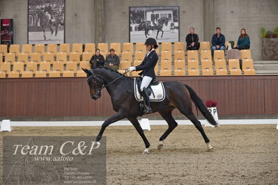 Blue Hors
5års dressur kvl
Nøgleord: cecilie hedegård;ellely's pinell