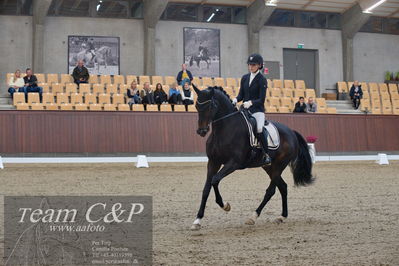 Blue Hors
5års dressur kvl
Nøgleord: cecilie hedegård;ellely's pinell