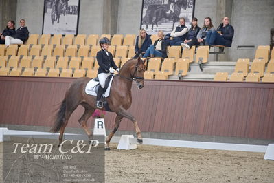 Blue Hors
dressur 6års kvl
Nøgleord: nova;rikke dupont