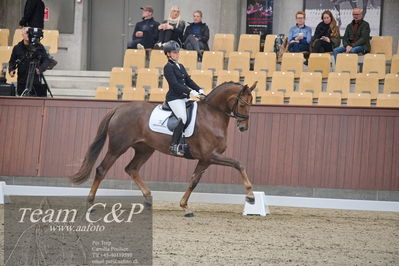 Blue Hors
dressur 6års kvl
Nøgleord: nova;rikke dupont