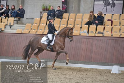 Blue Hors
dressur 6års kvl
Nøgleord: nova;rikke dupont