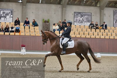 Blue Hors
dressur 6års kvl
Nøgleord: nova;rikke dupont