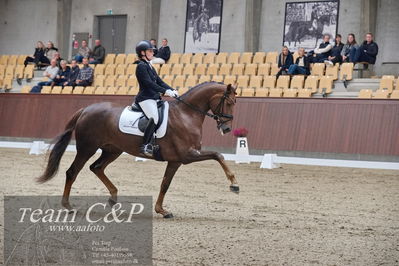 Blue Hors
dressur 6års kvl
Nøgleord: nova;rikke dupont