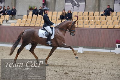 Blue Hors
dressur 6års kvl
Nøgleord: nova;rikke dupont