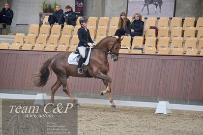 Blue Hors
dressur 6års kvl
Nøgleord: nova;rikke dupont