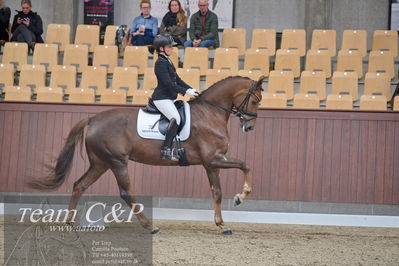 Blue Hors
dressur 6års kvl
Nøgleord: nova;rikke dupont