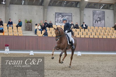 Blue Hors
dressur 6års kvl
Nøgleord: nova;rikke dupont