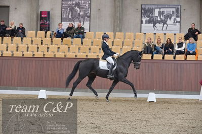 Blue Hors
dressur 6års kvl
Nøgleord: logo's gaya;emma ahlberg