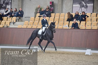 Blue Hors
dressur 6års kvl
Nøgleord: logo's gaya;emma ahlberg