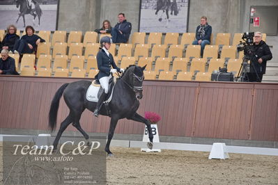 Blue Hors
dressur 6års kvl
Nøgleord: logo's gaya;emma ahlberg