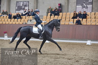 Blue Hors
dressur 6års kvl
Nøgleord: logo's gaya;emma ahlberg