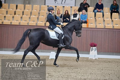 Blue Hors
dressur 6års kvl
Nøgleord: logo's gaya;emma ahlberg