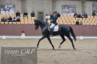 Blue Hors
dressur 6års kvl
Nøgleord: logo's gaya;emma ahlberg