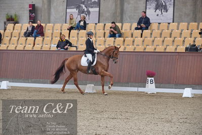 Blue Hors
dressur 6års kvl
Nøgleord: peggy sue nexen;lotte wiuff straarup