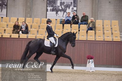 Blue Hors
dressur 6års kvl
Nøgleord: dantes delight;betina jæger jensen