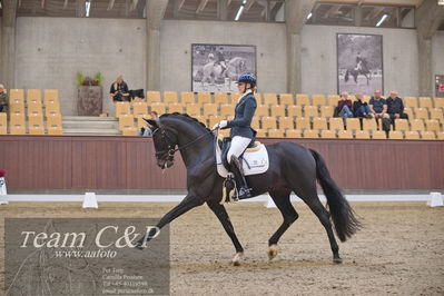 Blue Hors
dressur 6års kvl
Nøgleord: de angelo;merita hagren