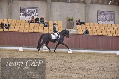 Blue Hors
dressur 6års kvl
Nøgleord: de angelo;merita hagren