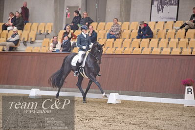 Blue Hors
dressur 6års kvl
Nøgleord: de angelo;merita hagren