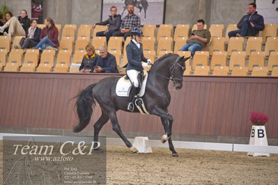 Blue Hors
dressur 6års kvl
Nøgleord: de angelo;merita hagren