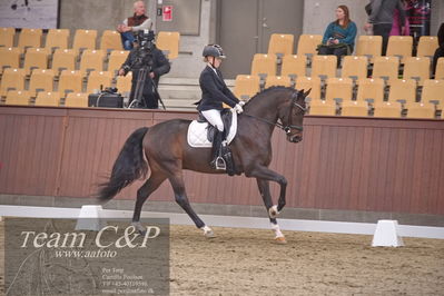 Blue Hors
dressur 6års kvl
Nøgleord: stenagers faramir dwb;cecilie lyndrup