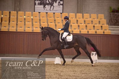 Blue Hors
dressur 4års trøstfinale
Nøgleord: amerita hagen;fan amour