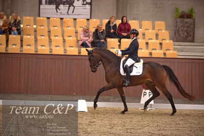 Blue Hors
dressur 4års trøstfinale
Nøgleord: anne-marie hosbond;danesa nord