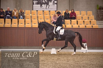 Blue Hors
dressur 4års trøstfinale
Nøgleord: michael søgaard;søbakkehus duffy