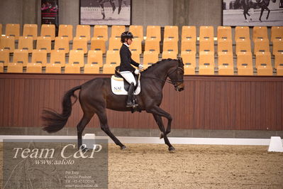 Blue Hors
dressur 4års trøstfinale
Nøgleord: selina solberg vittinghus;atterupgaards damaskus