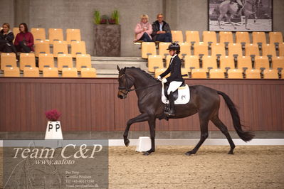 Blue Hors
dressur 4års trøstfinale
Nøgleord: selina solberg vittinghus;atterupgaards damaskus