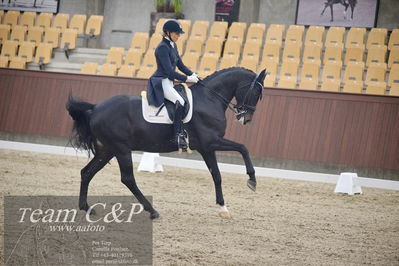 Blue Hors
7års dressur kvl
Nøgleord: elverhøjs raccolto;marianne helgstrand