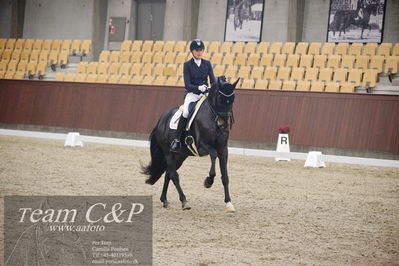 Blue Hors
7års dressur kvl
Nøgleord: elverhøjs raccolto;marianne helgstrand