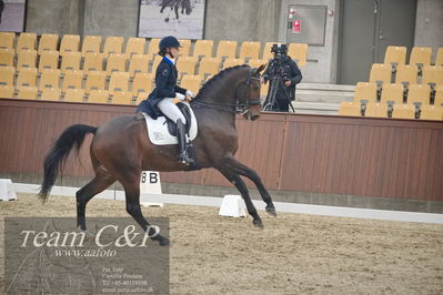 Blue Hors
7års dressur kvl
Nøgleord: elliot julianelyst;tania m joensen