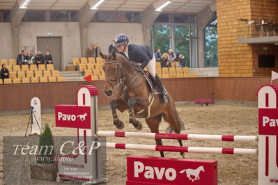 Blue Hors
4 års kvl spring
Nøgleord: quintana w;kamila grauff albrekttsen