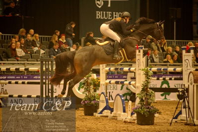 Absolut horses
csi 1 big tour qual 135cm
Nøgleord: emma stengelshøj jørgensen;unicorn's wilma