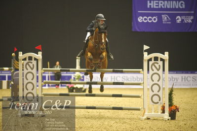 Absolut horses
Skibby HC CSI1 Grand Prix (238.2.2a-GP) 1.40m
Nøgleord: emilia widmayer;baron d'la rousserie