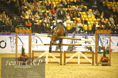 Jydske bank box
CSI2 Stutteri Ask Grand Prix LR (273.4.3b-GP) 1.45m
Nøgleord: søren møller rohde;alegra ask