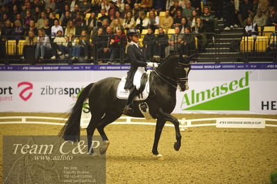 Jydske bank box
FEI Dressage World Cup Freestyle presented by ECCO (GP FS)
Nøgleord: marlies van baalen;go legend