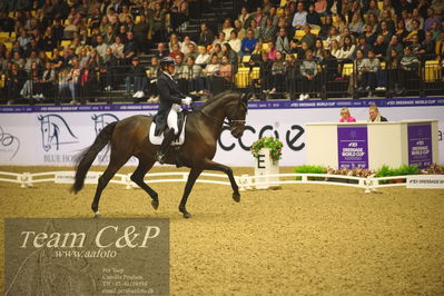 Jydske bank box
FEI Dressage World Cup Freestyle presented by ECCO (GP FS)
Nøgleord: lone bang larsen;thranegaardens rostov