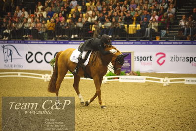 Jydske bank box
FEI Dressage World Cup Freestyle presented by ECCO (GP FS)
Nøgleord: cathrine dufour;atterupgaards cassidy