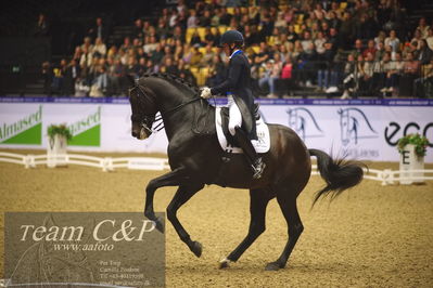 Jydske bank box
FEI Dressage World Cup Freestyle presented by ECCO (GP FS)
Nøgleord: nanna skjold merrald;blue hors zack