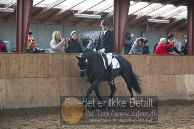 Hingstekåring i Grindsted Rideklub
Nøgleord: mosevangs mascot;visby hingstestation;hans jørgen hoeck