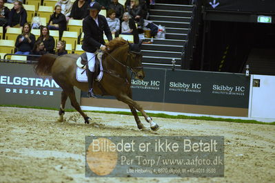 Dansk varmblod hingstekåring.
Skibby Hc big tour lr 150cm csi3
Nøgleord: søren pedersen;tailormade contou