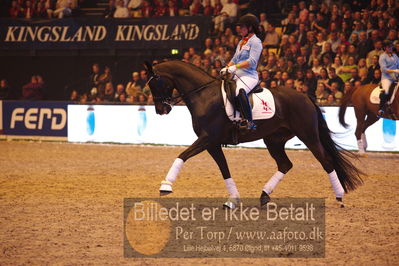 Dansk varmblod hingstekåring.
galashow
