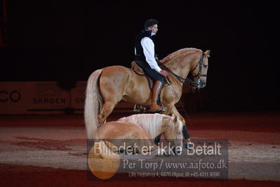 Dansk varmblod hingstekåring.
galashow
