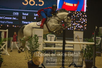 Dansk varmblod hingstekåring.
galashow
