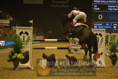 Dansk varmblod hingstekåring.
galashow
