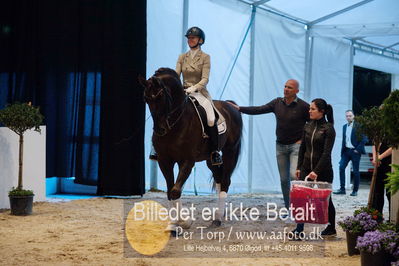 Dansk varmblod hingstekåring.
Nøgleord: skovens rafael;lotte skjaerbaek